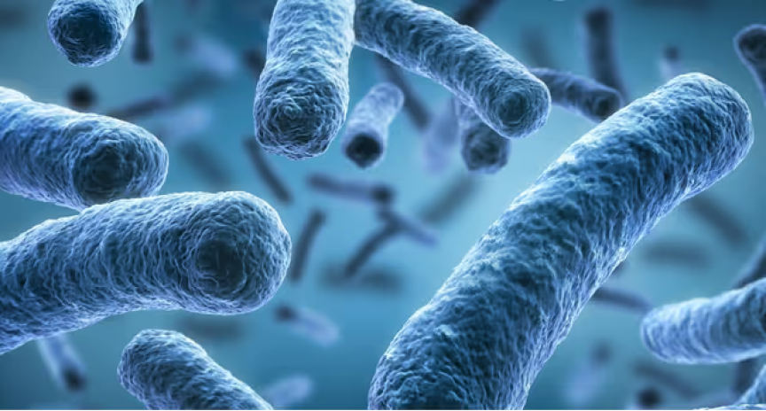 Afbeelding zonder ALT